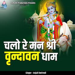 Chalo Re Man Shri Vrindavan Dham