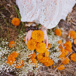 Marigolds