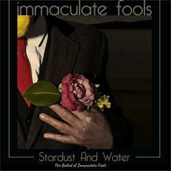 Stardust and Water the Ballad of Immaculate Fools