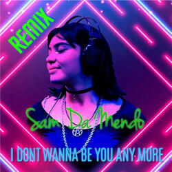 I Don't Wanna Be You Any More