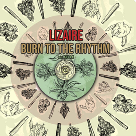 Burn to the Rhythm