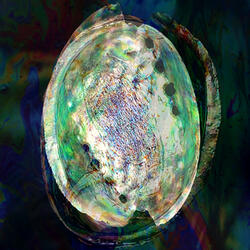 Sweet Water Pearl