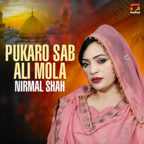 Pukaro Sab Ali Mola - Single