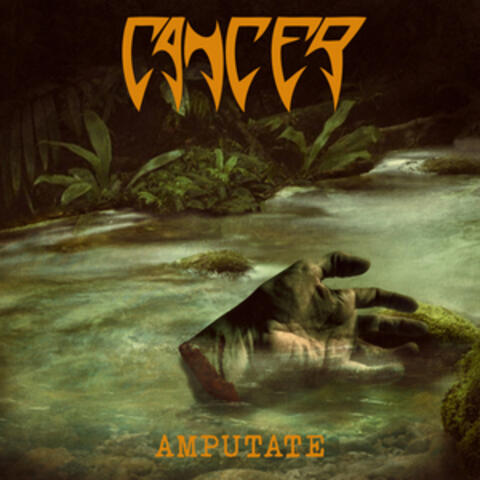 Amputate