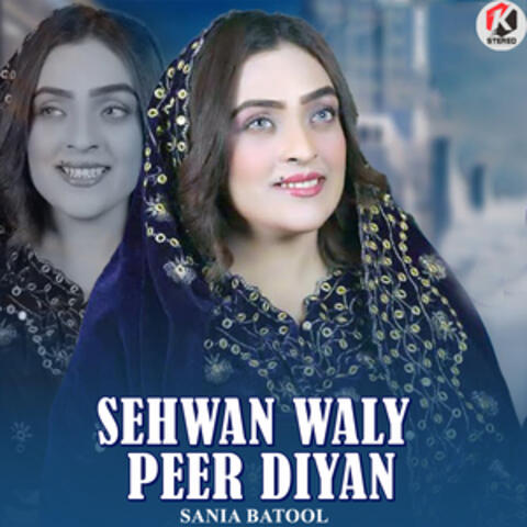 Sehwan Waly Peer Diyan - Single
