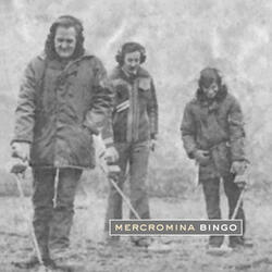 En el Palo de un Polo