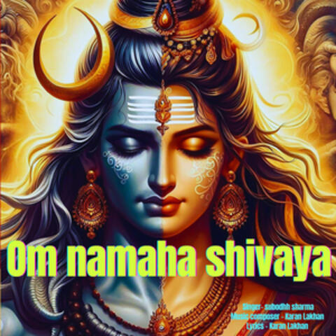 Om Namah Shivay