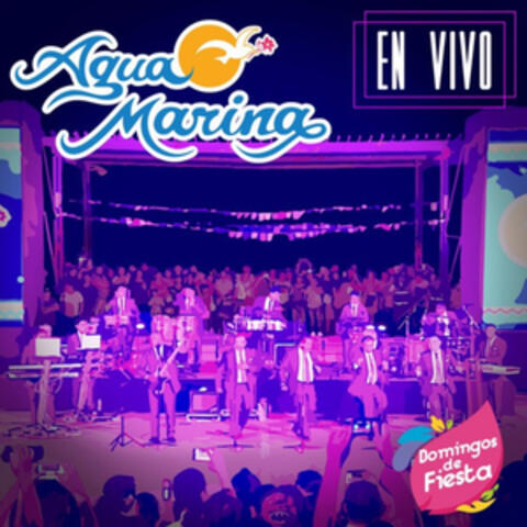 Domingos de fiesta
