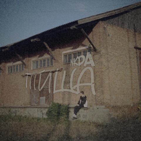Тиша