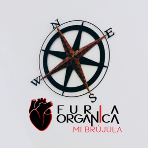 Mi Brújula