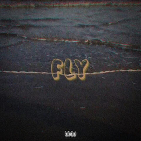 FLY