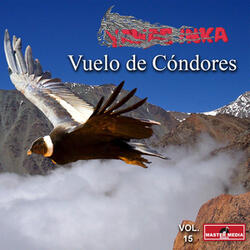 Vuelo de Condores