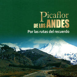 Llorando en Pachamalca