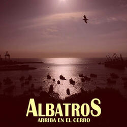 Arriba en el Cerro