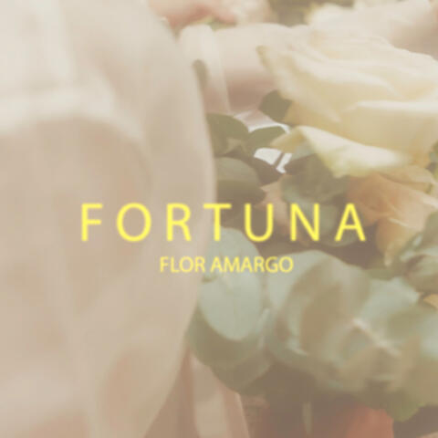 Fortuna