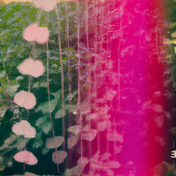 FOR YOU