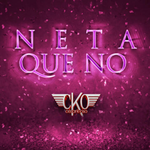 Neta Que No