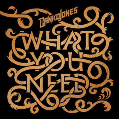 What You Need