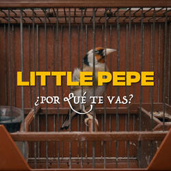 ¿Por Qué Te Vas?