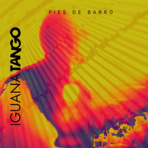 Pies de Barro