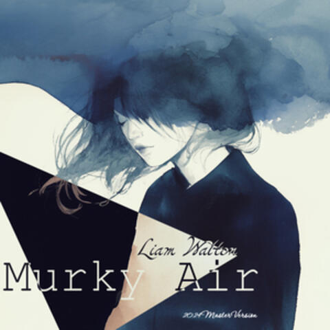 Murky Air