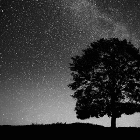Follow The Stars