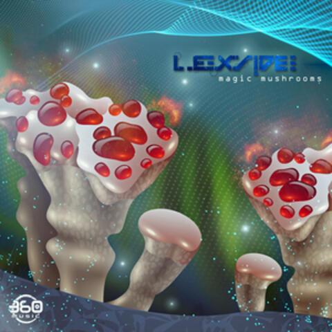 Magic Mushrooms
