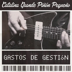 Gastos de Gestión