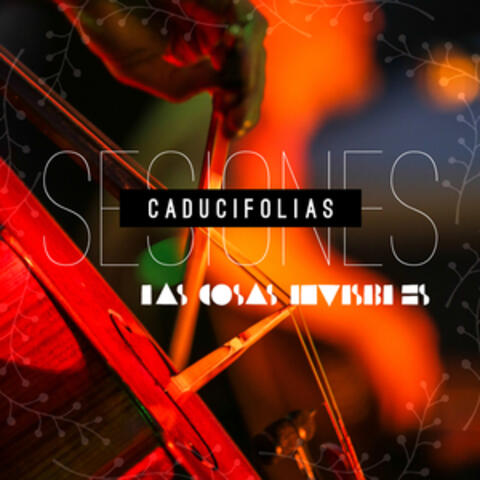 Sesiones Caducifolias