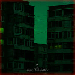 econ_type.2009