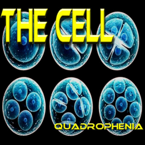 The Cell