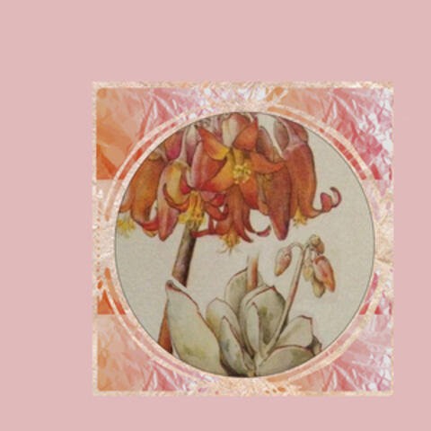 Flores, Labios, Dedos