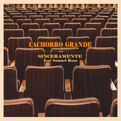 Sinceramente