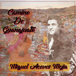 Camino de Guanajuato