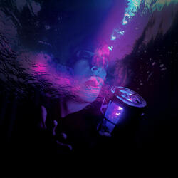 From Disco Section to House Foundation