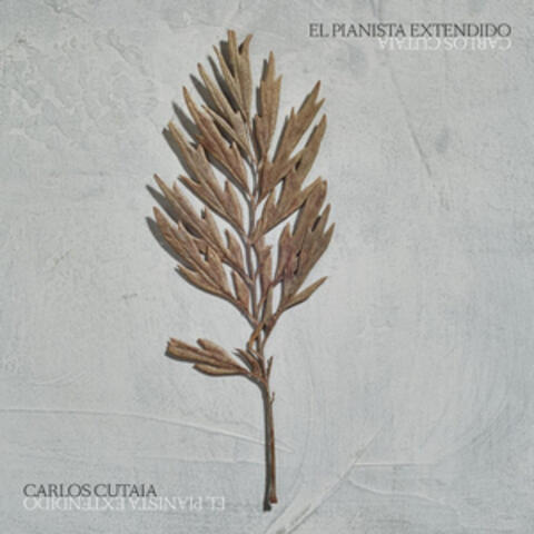 El Pianista Extendido
