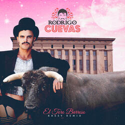El Toro Barroso