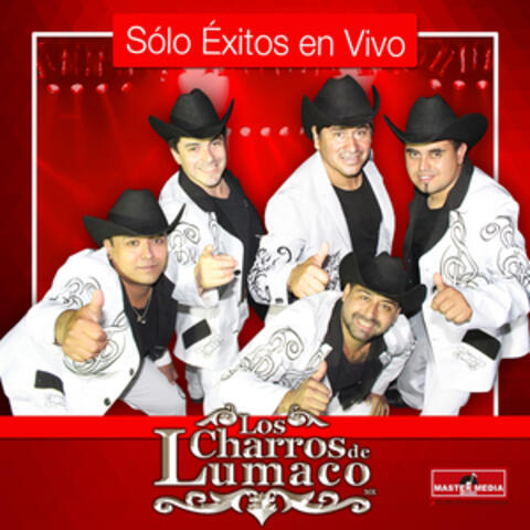Solo Éxitos