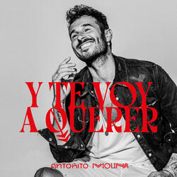 Y te voy a querer