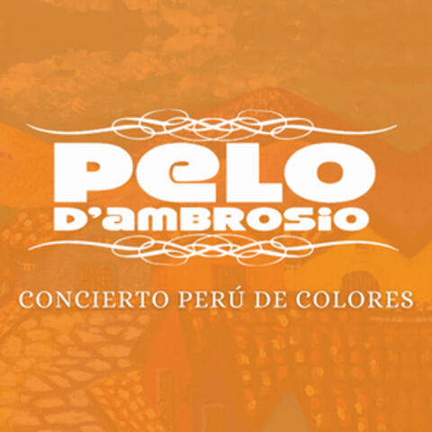 Concierto Perú de Colores