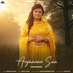 Anjaanan Saa (Instrumental)