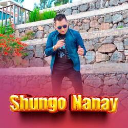 Shungo Nanay