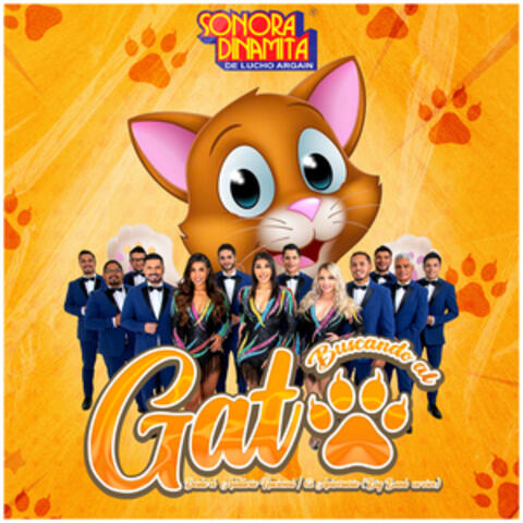 Buscando Al Gato Desde El Auditorio Nacional / 62 Aniversario