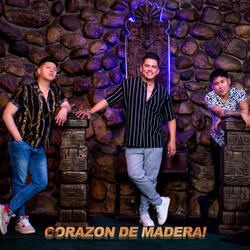 No Puedo Vivir Sin Ti