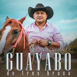 Guayabo De Tres Braza