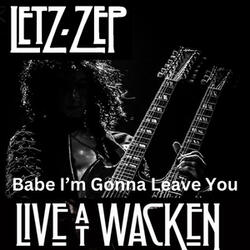 Babe I'm Gonna Leave You