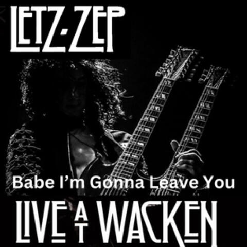 Babe I'm Gonna Leave You