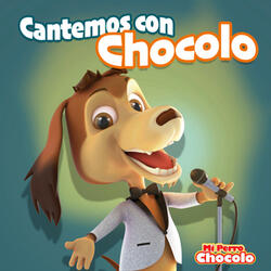 Cinco sentidos