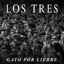 Gato por Liebre