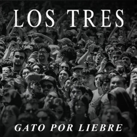 Gato por Liebre